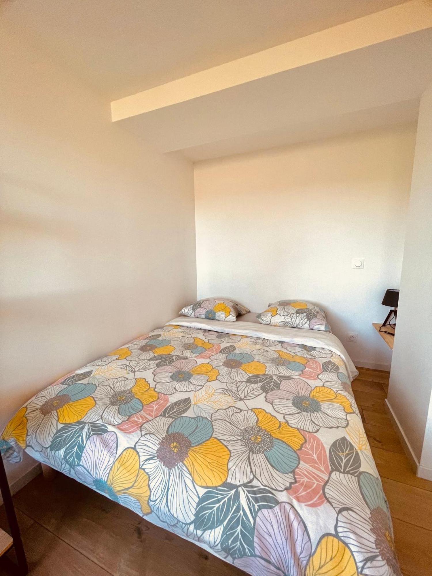 T1 Bis Renove Au Centre D'Auch Apartman Kültér fotó